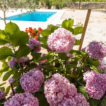 Marcelovi Dvori Bed & Breakfast