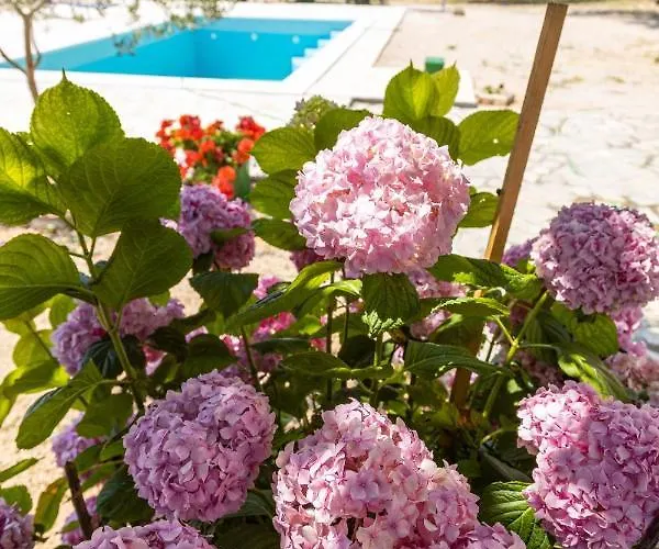 Marcelovi Dvori Bed & Breakfast